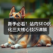 新手必看!站内SEO优化三大核心技巧详解(图3) 新手必看!站内SEO优化三大核心技巧详解(图3)