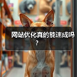 网站优化真的能速成吗?(图4) 网站优化真的能速成吗?(图4)