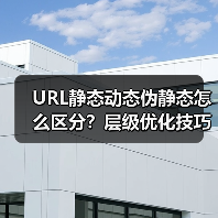 URL静态动态伪静态怎么区分?层级优化技巧全解析(图4) URL静态动态伪静态怎么区分?层级优化技巧全解析(图4)
