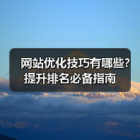 网站优化技巧有哪些?提升排名必备指南(图4) 网站优化技巧有哪些?提升排名必备指南(图4)
