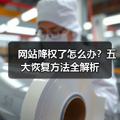 网站降权了怎么办?五大恢复方法全解析(图1) 网站降权了怎么办?五大恢复方法全解析(图1)