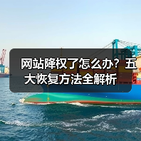 网站降权了怎么办?五大恢复方法全解析(图3) 网站降权了怎么办?五大恢复方法全解析(图3)