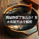 网站降权了怎么办?五大恢复方法全解析(图4) 网站降权了怎么办?五大恢复方法全解析(图4)