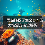 网站降权了怎么办?五大恢复方法全解析(图2) 网站降权了怎么办?五大恢复方法全解析(图2)