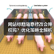 网站标题随意修改会降权吗？优化策略全解析（图2）