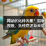 网站优化排名差?别急改版,先检查这些关键点!(图2) 网站优化排名差?别急改版,先检查这些关键点!(图2)