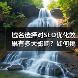 域名选择对SEO优化效果有多大影响?如何挑选高权重域名(图4) 域名选择对SEO优化效果有多大影响?如何挑选高权重域名(图4)