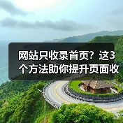 网站只收录首页?这3个方法助你提升页面收录(图4) 网站只收录首页?这3个方法助你提升页面收录(图4)