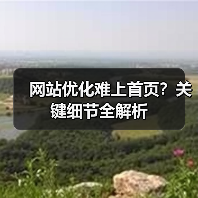 网站优化难上首页?关键细节全解析(图2) 网站优化难上首页?关键细节全解析(图2)
