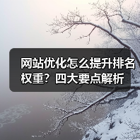 网站优化怎么提升排名权重?四大要点解析(图1) 网站优化怎么提升排名权重?四大要点解析(图1)