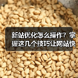 新站优化怎么操作?掌握这几个技巧让网站快速起飞(图2) 新站优化怎么操作?掌握这几个技巧让网站快速起飞(图2)