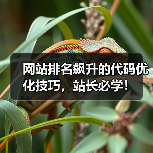 网站排名飙升的代码优化技巧，站长必学！（图2）