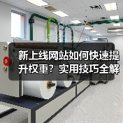 新上线网站如何快速提升权重?实用技巧全解析(图2) 新上线网站如何快速提升权重?实用技巧全解析(图2)