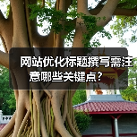 网站优化标题撰写需注意哪些关键点？（图1）