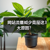 网站流量减少竟是这3大原因?(图4) 网站流量减少竟是这3大原因?(图4)