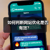 如何判断网站优化是否有效?(图2) 如何判断网站优化是否有效?(图2)