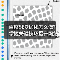 百度SEO优化怎么做?掌握关键技巧提升网站排名(图3) 百度SEO优化怎么做?掌握关键技巧提升网站排名(图3)