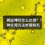 网站降权怎么处理?7种实用方法恢复排名(图4) 网站降权怎么处理?7种实用方法恢复排名(图4)