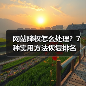 网站降权怎么处理?7种实用方法恢复排名(图3) 网站降权怎么处理?7种实用方法恢复排名(图3)