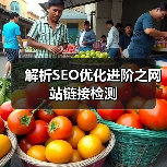 解析SEO优化进阶之网站链接检测（图1）