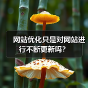网站优化只是对网站进行不断更新吗？（图3）