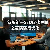 解析新手SEO优化进阶之友情链接优化（图4）