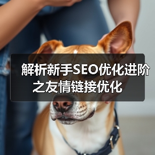 解析新手SEO优化进阶之友情链接优化（图1）