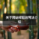 关于网站标题的写法介绍（图4）