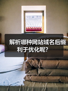 解析哪种网站域名后缀利于优化呢？（图1）