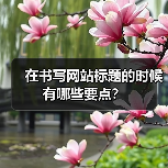 在书写网站标题的时候有哪些要点?(图1) 在书写网站标题的时候有哪些要点?(图1)