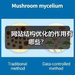 网站结构优化的作用有哪些?(图3) 网站结构优化的作用有哪些?(图3)