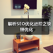 解析SEO优化进阶之快照优化（图4）