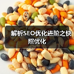 解析SEO优化进阶之快照优化（图3）