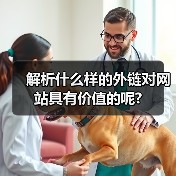 解析什么样的外链对网站具有价值的呢?（图3）