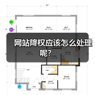 网站降权应该怎么处理呢?(图4) 网站降权应该怎么处理呢?(图4)