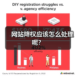 网站降权应该怎么处理呢?(图2) 网站降权应该怎么处理呢?(图2)