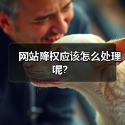 网站降权应该怎么处理呢?(图1) 网站降权应该怎么处理呢?(图1)