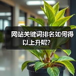 网站关键词排名如何得以上升呢?(图2) 网站关键词排名如何得以上升呢?(图2)