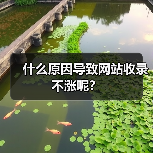 什么原因导致网站收录不涨呢?(图1) 什么原因导致网站收录不涨呢?(图1)