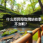 什么原因导致网站收录不涨呢?(图4) 什么原因导致网站收录不涨呢?(图4)