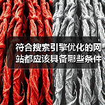 符合搜索引擎优化的网站都应该具备哪些条件？（图2）