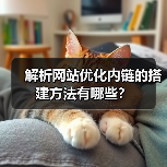 解析网站优化内链的搭建方法有哪些？（图4）