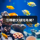 怎样做关键词布局？（图1）