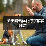 关于网站优化你了解多少呢？（图2）