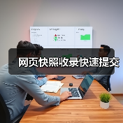 网页快照收录快速提交（图2）