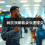 网页快照收录快速提交（图3）