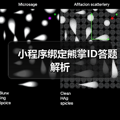 小程序绑定熊掌ID答题解析(图3) 小程序绑定熊掌ID答题解析(图3)