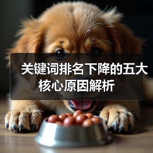 关键词排名下降的五大核心原因解析(图2) 关键词排名下降的五大核心原因解析(图2)
