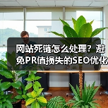 网站死链怎么处理?避免PR值损失的SEO优化技巧(图2) 网站死链怎么处理?避免PR值损失的SEO优化技巧(图2)