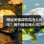 网站关键词布局怎么优化？提升排名核心技巧全解析（图2）